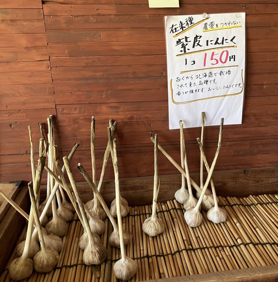 紫ニンニクの詳細画像 その1