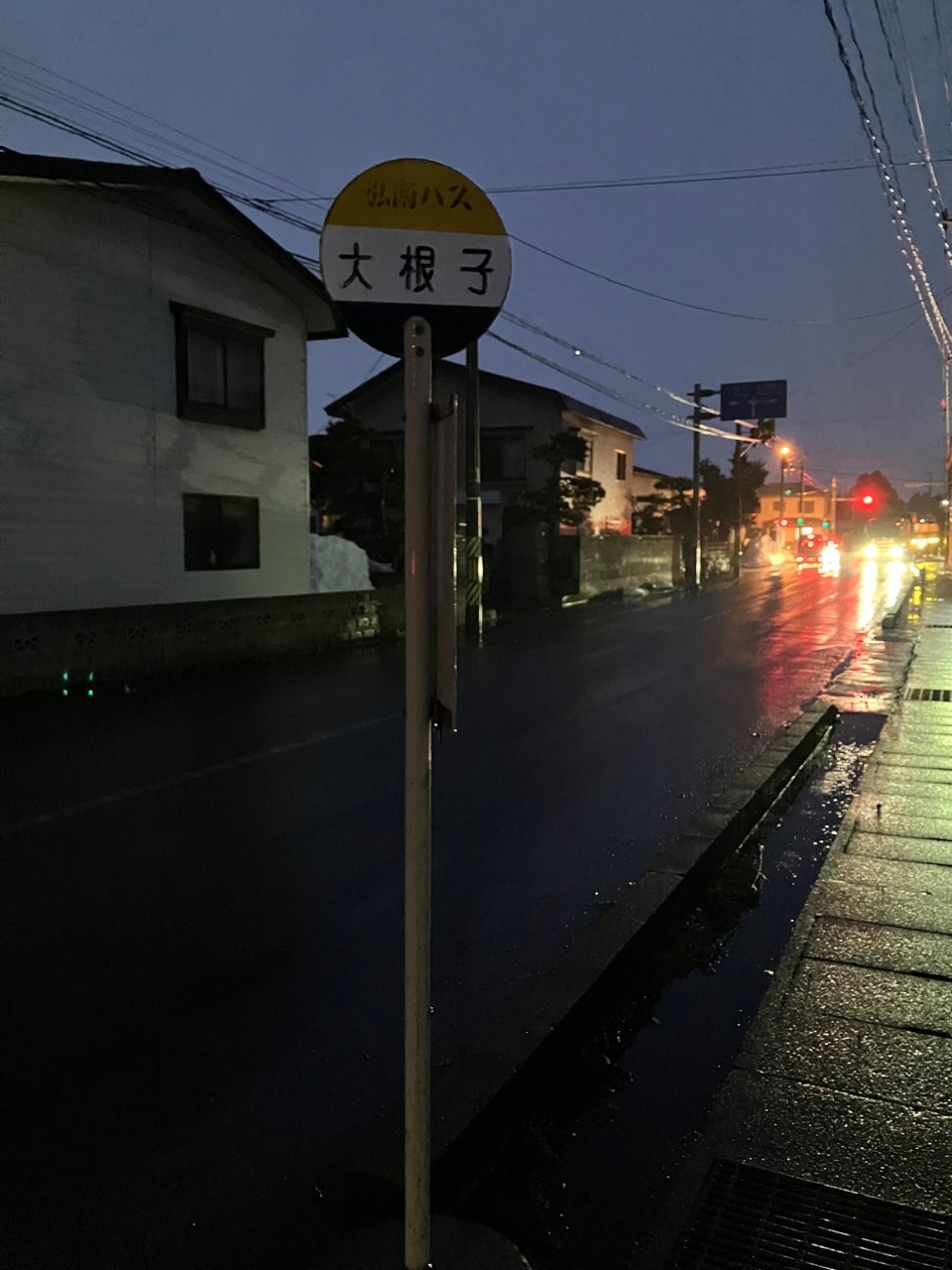 大根子人参の画像