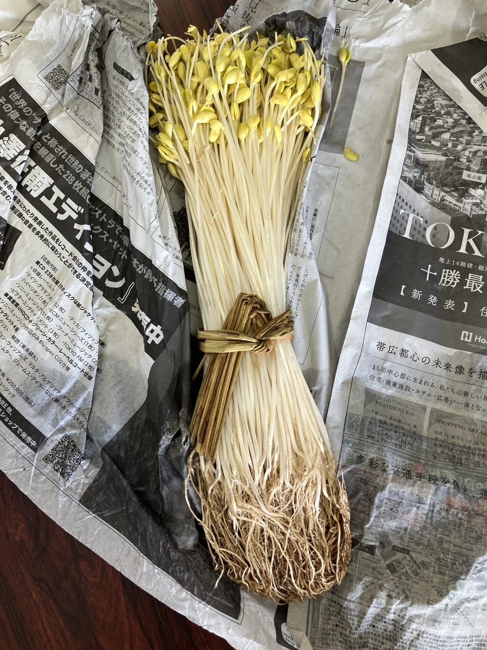 大鰐温泉もやしの詳細画像 その3