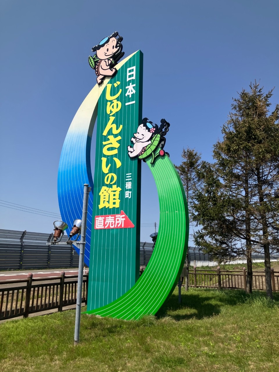 ジュンサイの詳細画像 その8