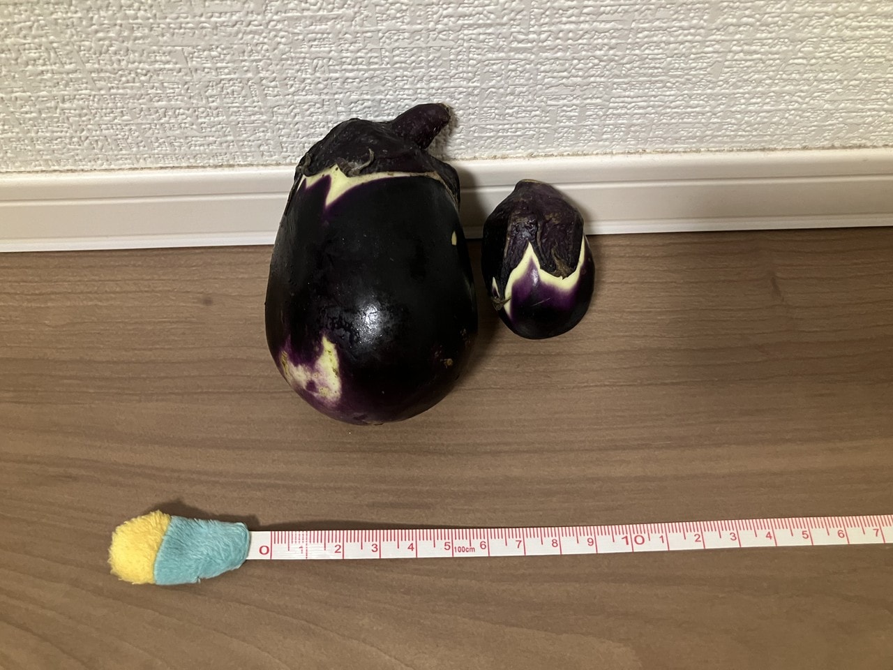 関口ナスの詳細画像 その10