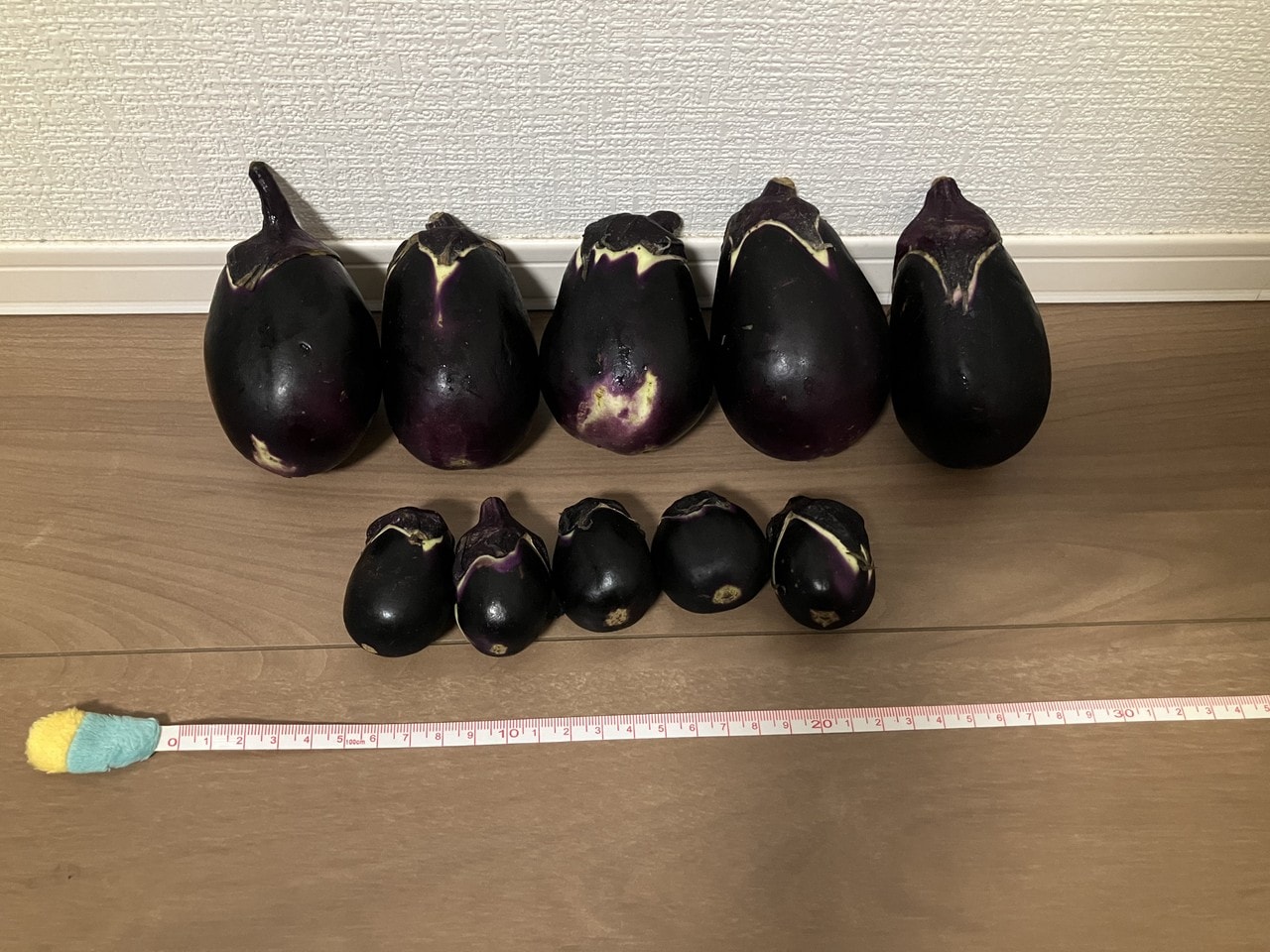 関口ナスの詳細画像 その11