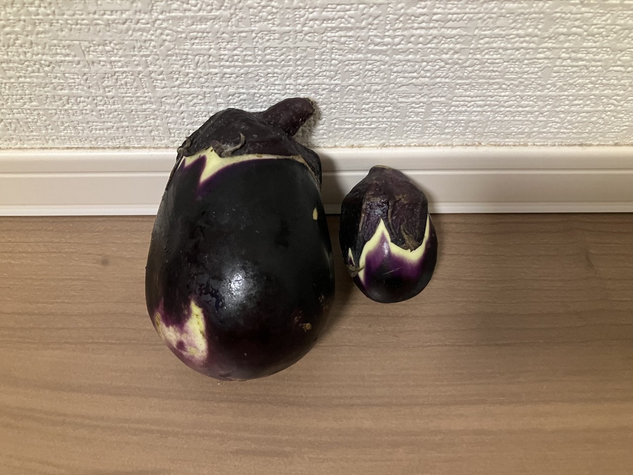 関口ナスの詳細画像 その12