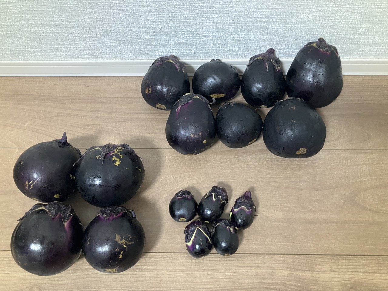 関口ナスの詳細画像 その7