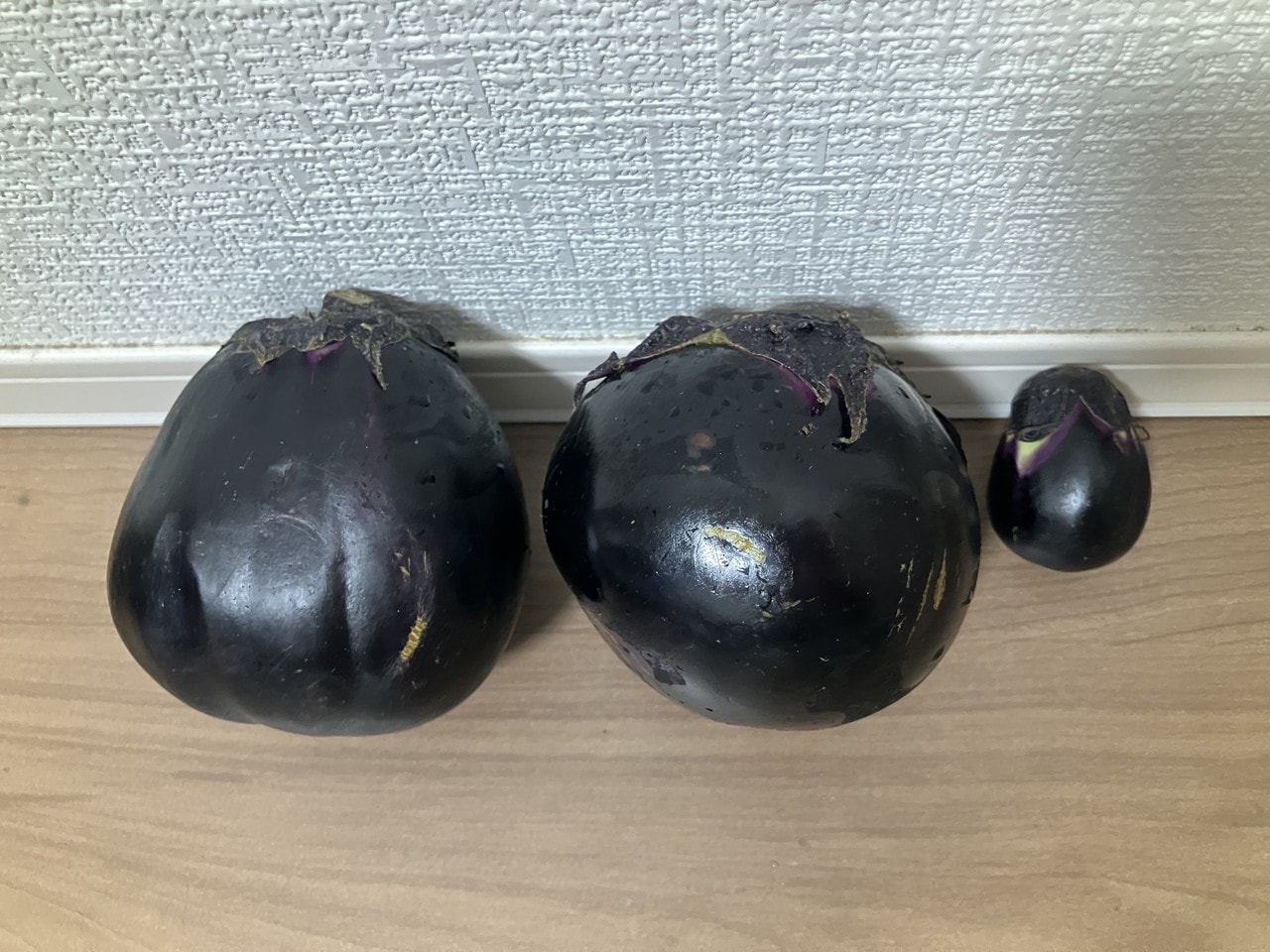 関口ナスの詳細画像 その8