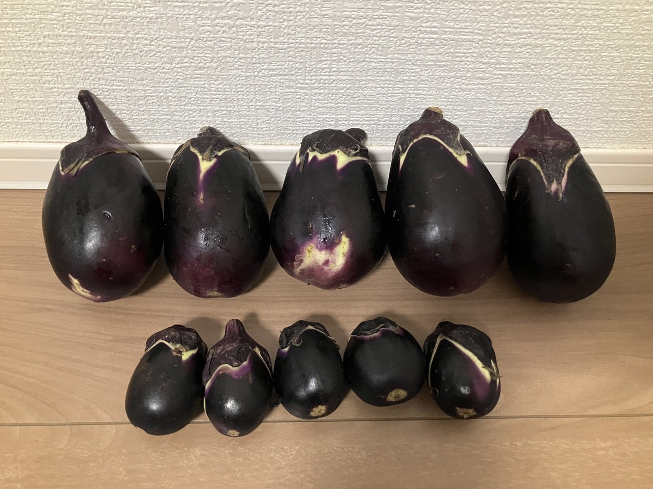 関口ナスの詳細画像 その9