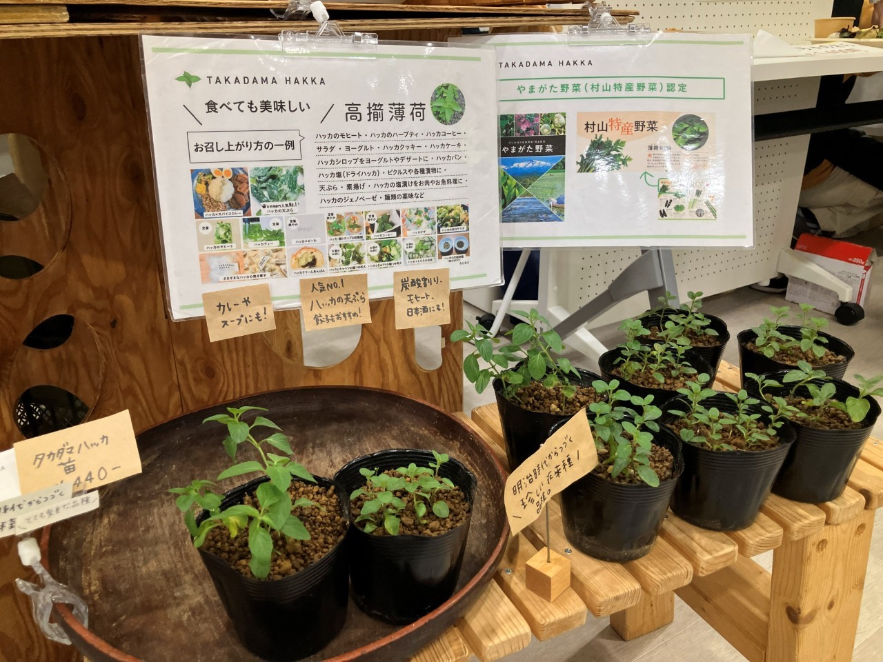 高擶薄荷の詳細画像 その1