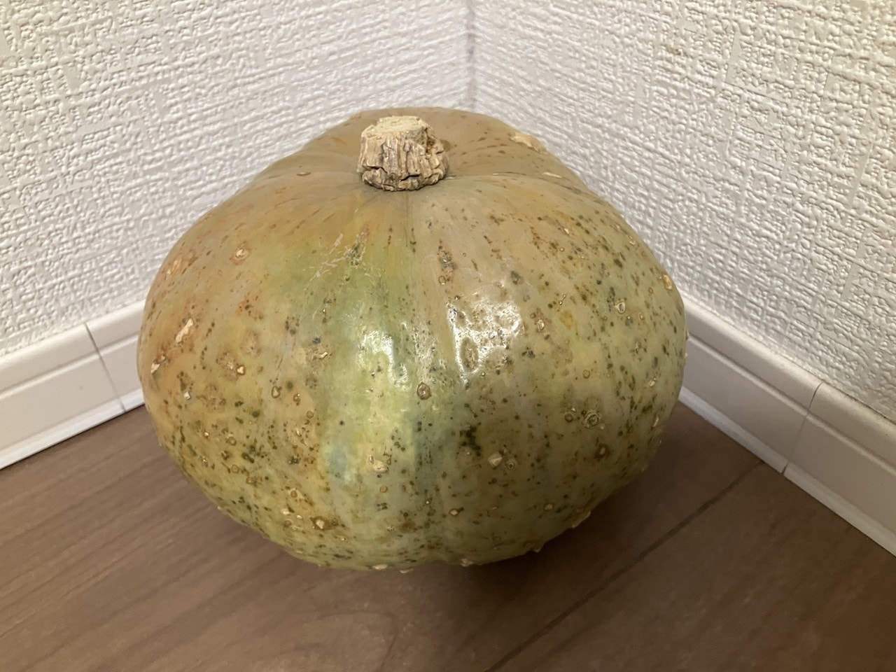 蔵王かぼちゃの詳細画像 その4