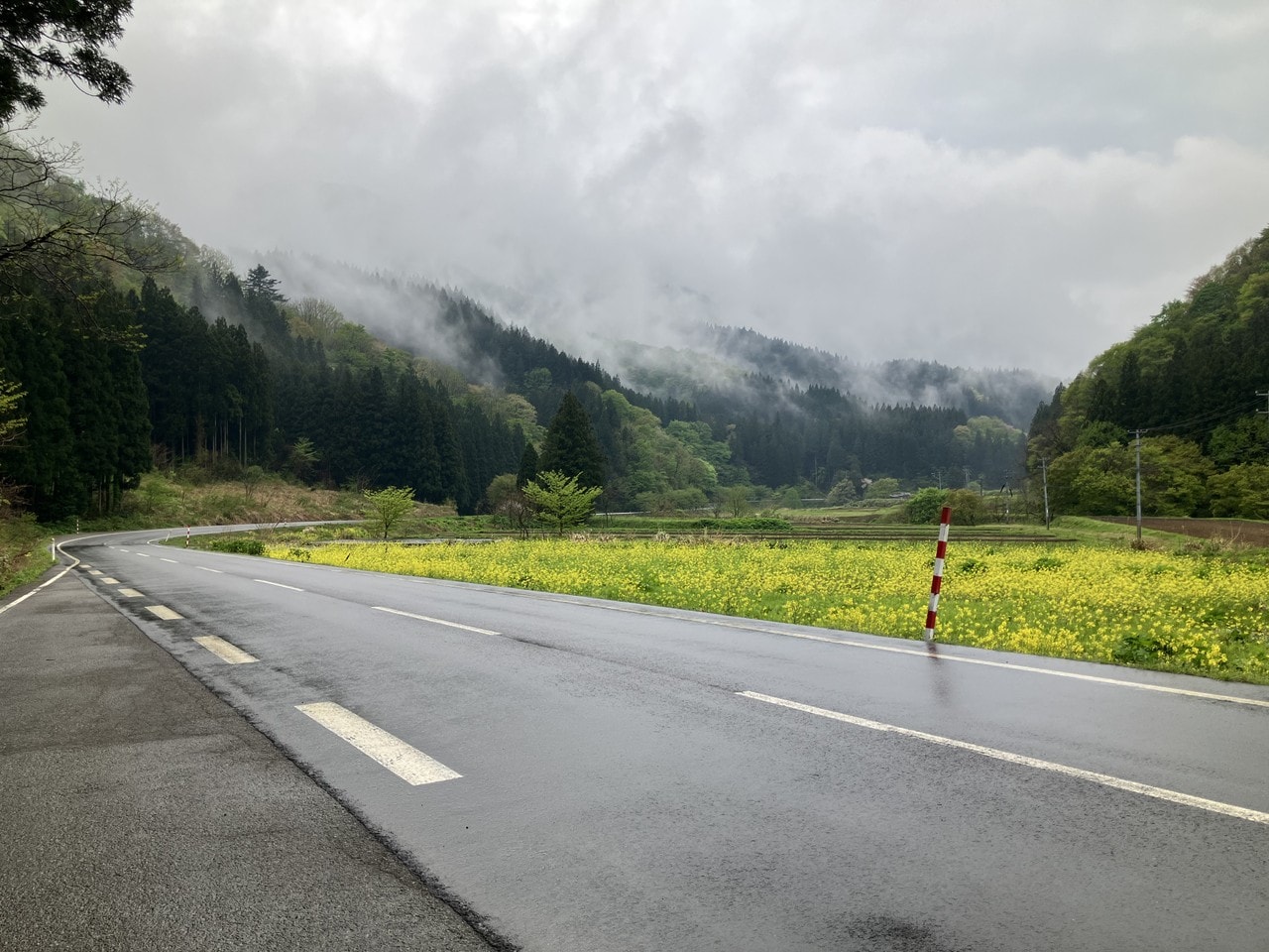 温海カブの詳細画像 その10
