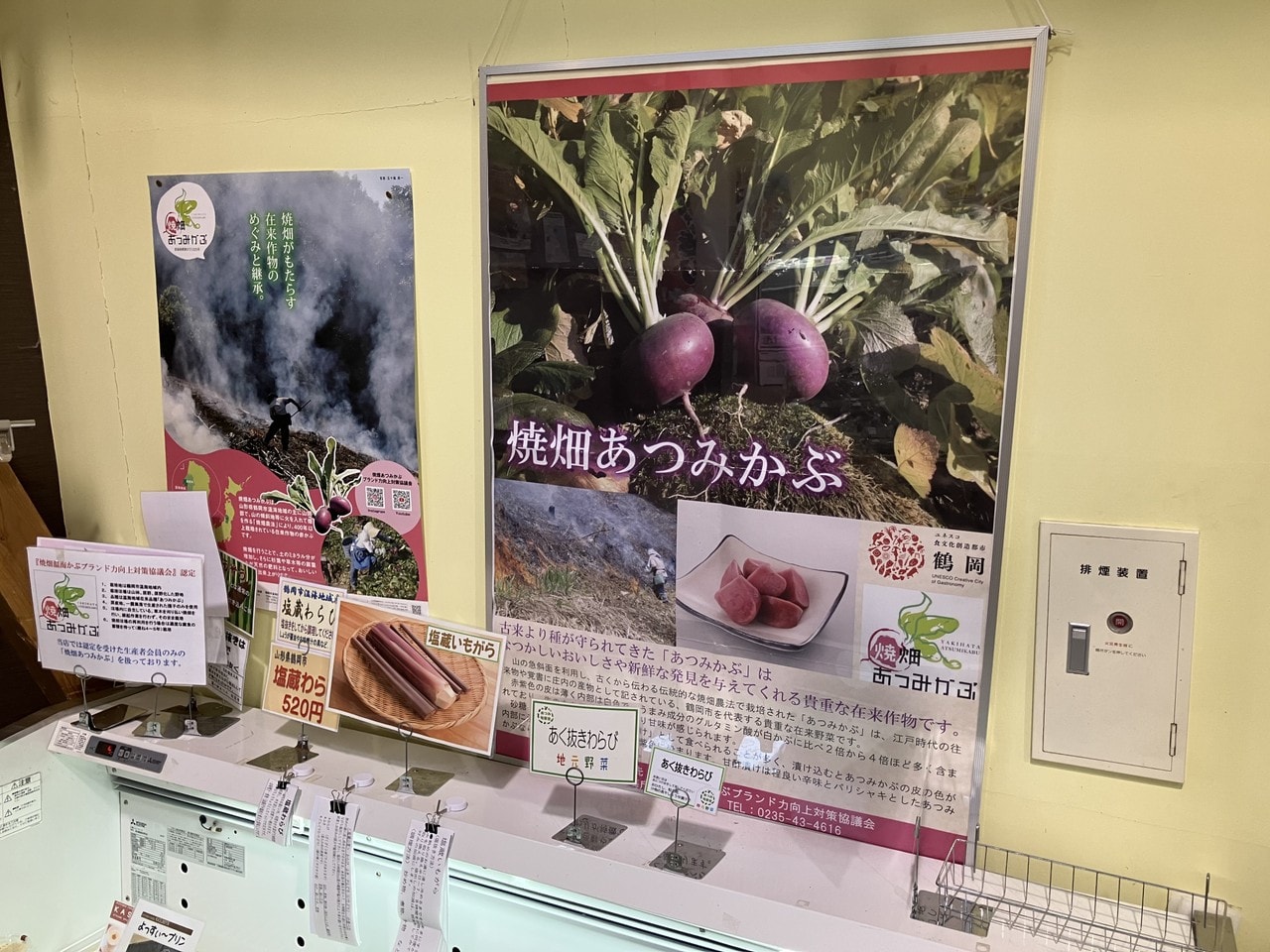 温海カブの詳細画像 その15