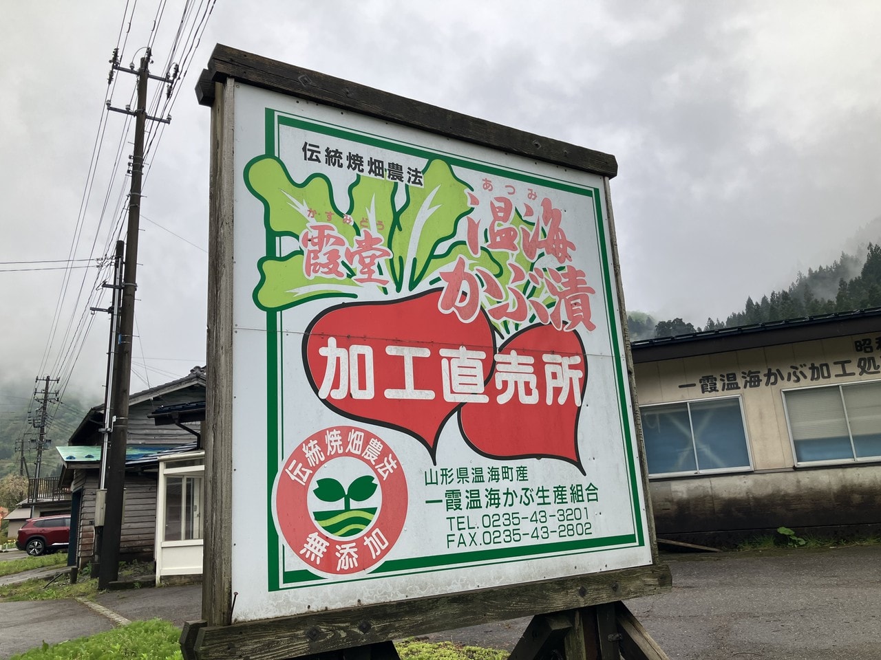 温海カブの詳細画像 その7
