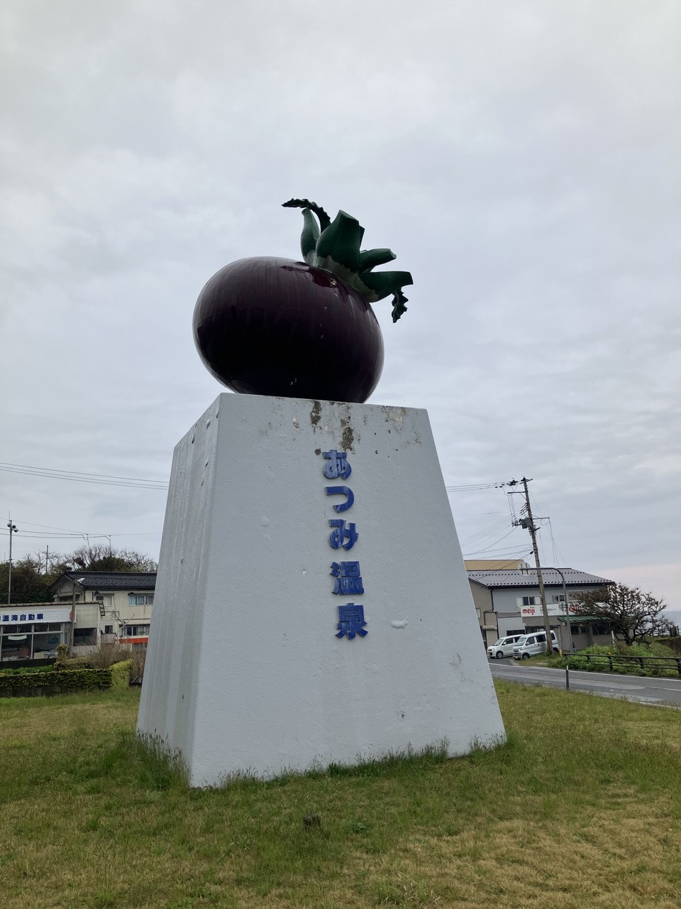 温海カブの画像