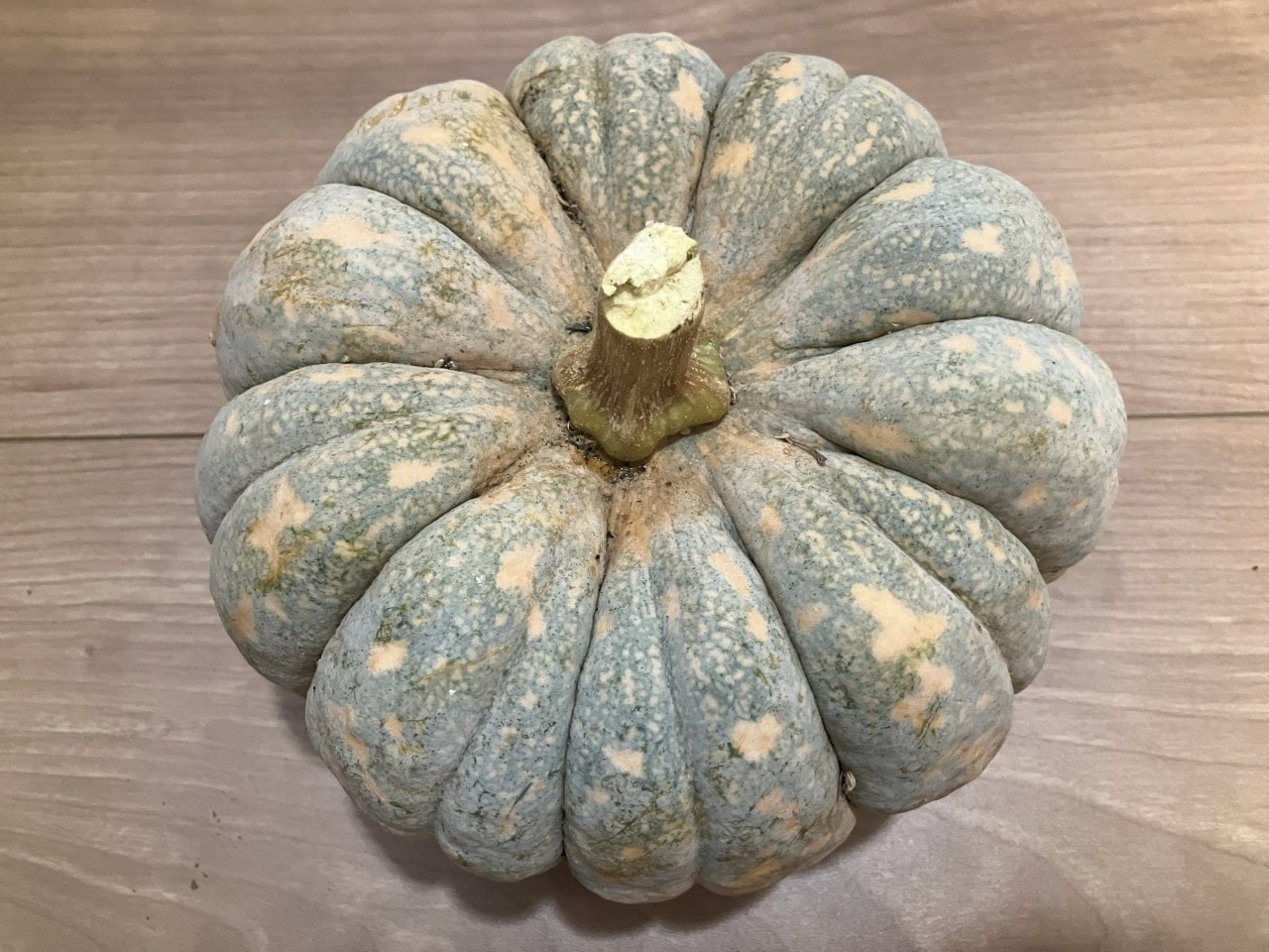 会津小菊南瓜の画像