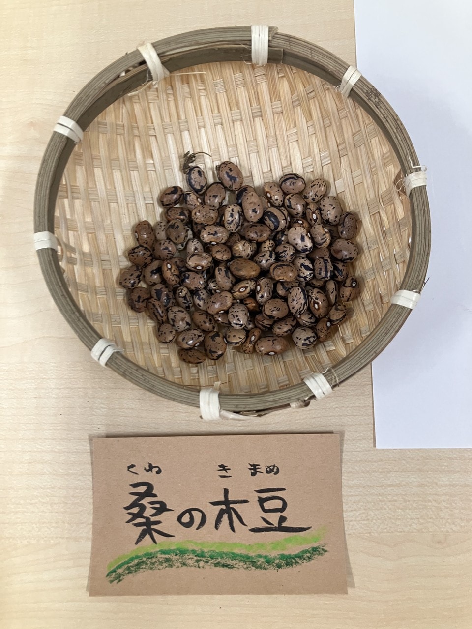 桑の木豆(足尾)のメイン画像