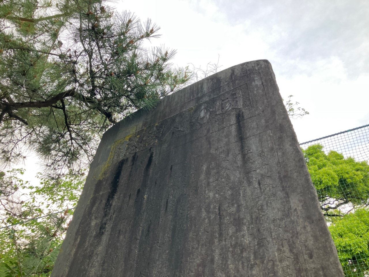 国分鮮紅人参の詳細画像 その3