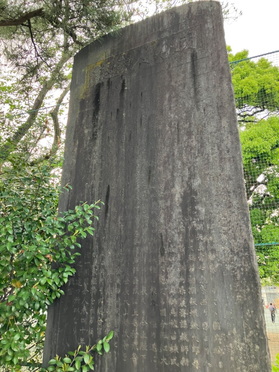 国分鮮紅人参の画像