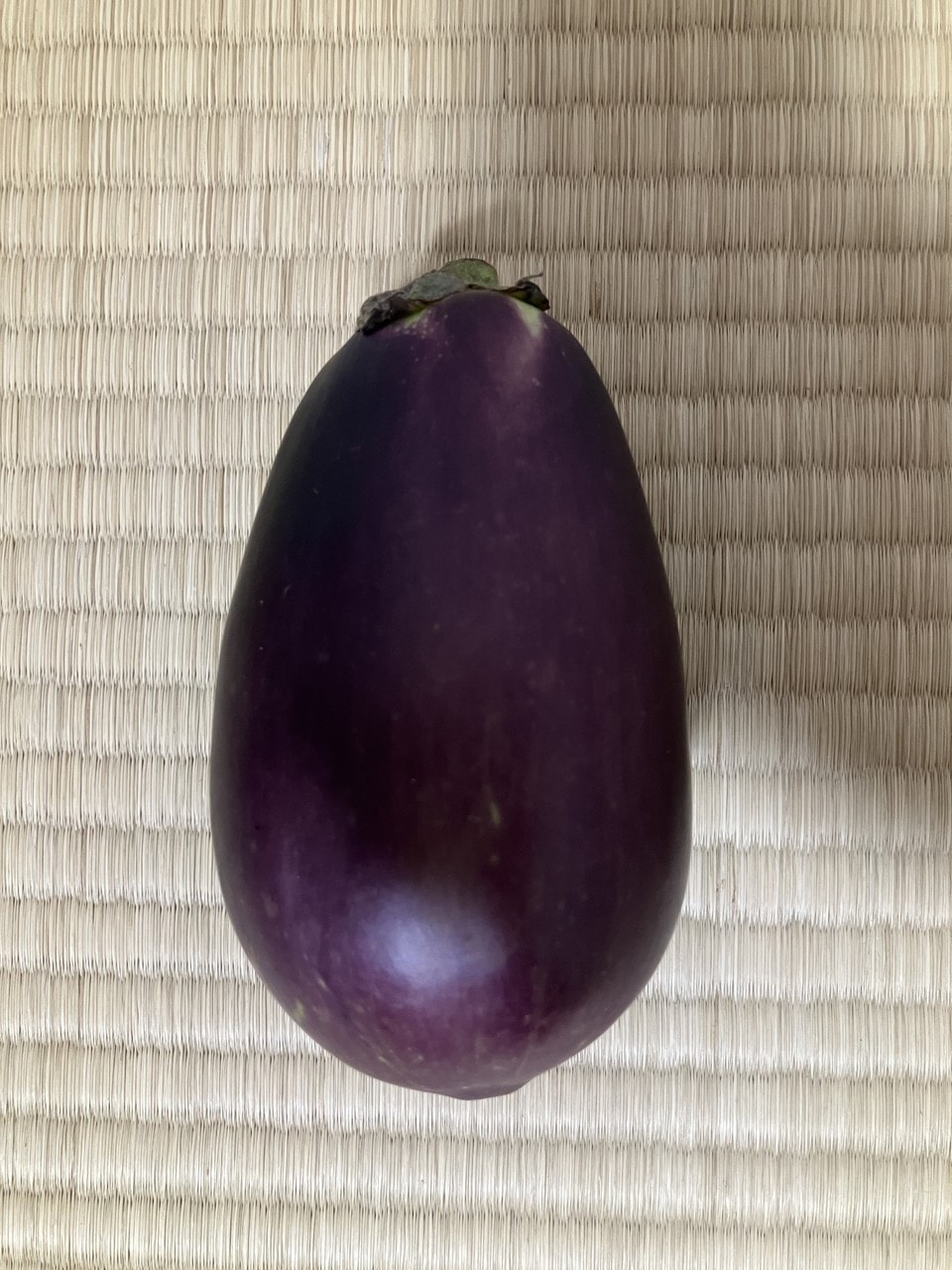 上越丸えんぴつナスのメイン画像