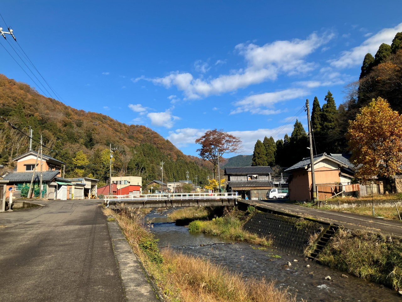 杉箸アカカンバの詳細画像 その1