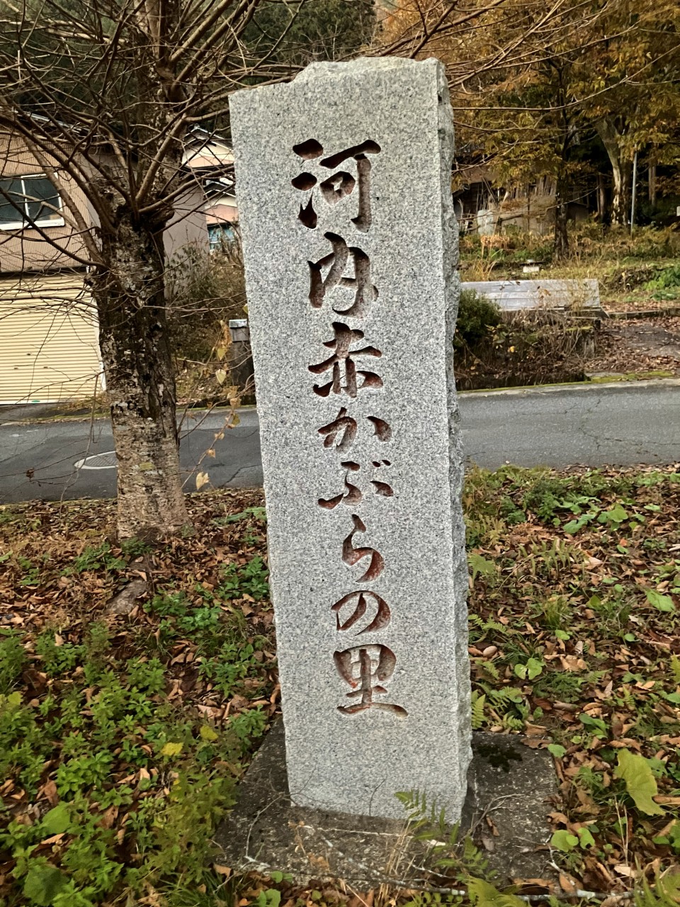 河内赤かぶらの詳細画像 その4