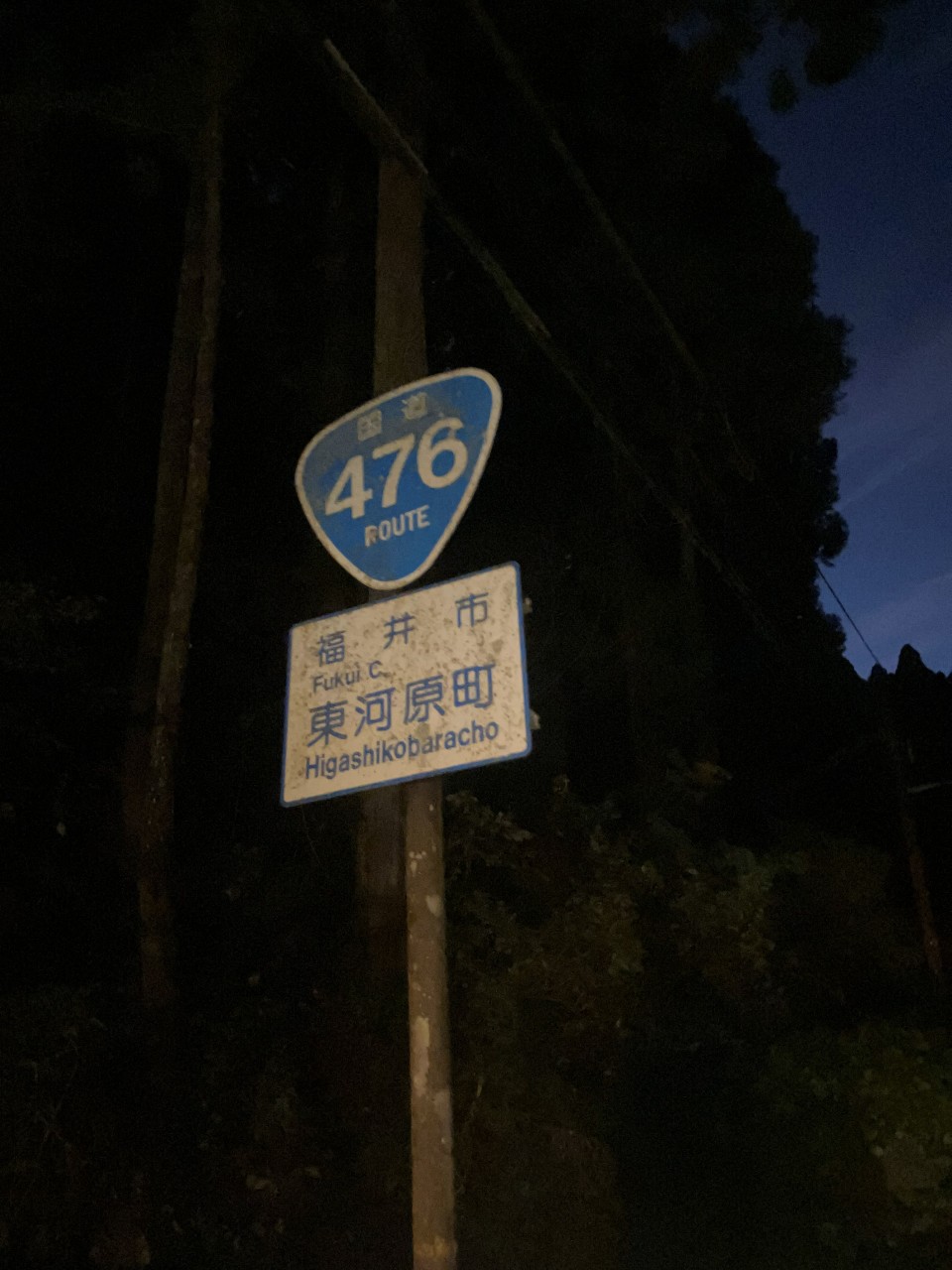 河内赤かぶらの詳細画像 その5