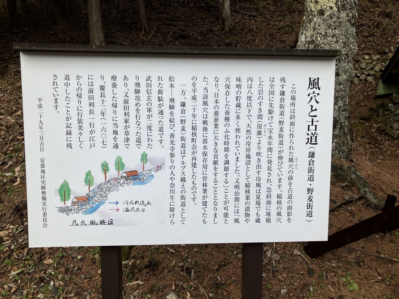 稲核菜の詳細画像 その5