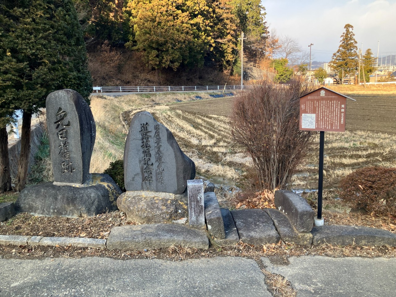 松本一本ネギの詳細画像 その1