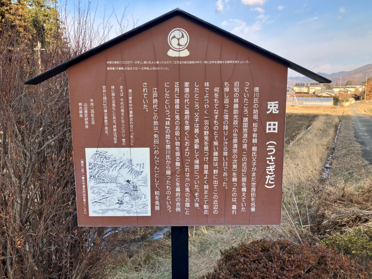 松本一本ネギの詳細画像 その2