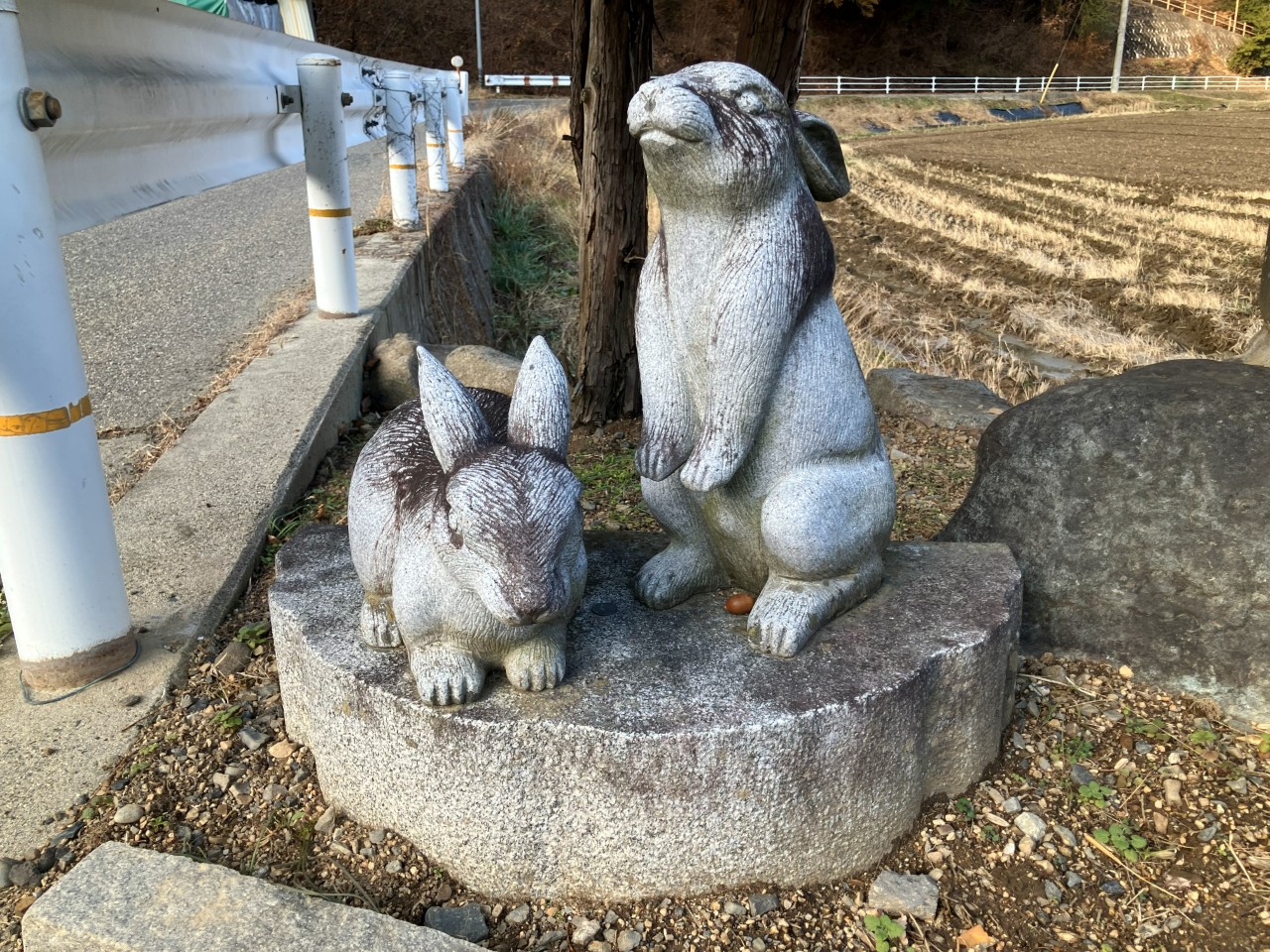 松本一本ネギの詳細画像 その3