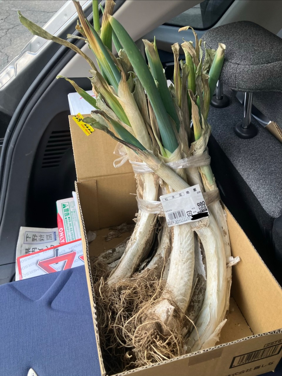 松本一本ネギの詳細画像 その7