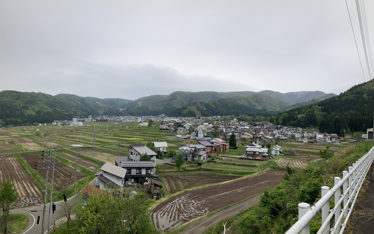 野沢菜の詳細画像 その1