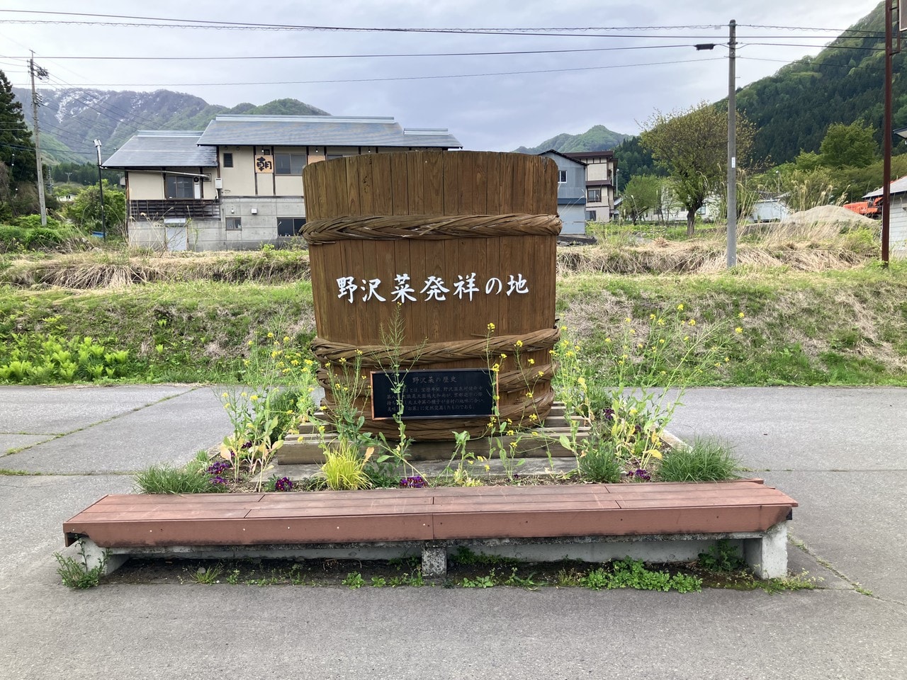 野沢菜の詳細画像 その13