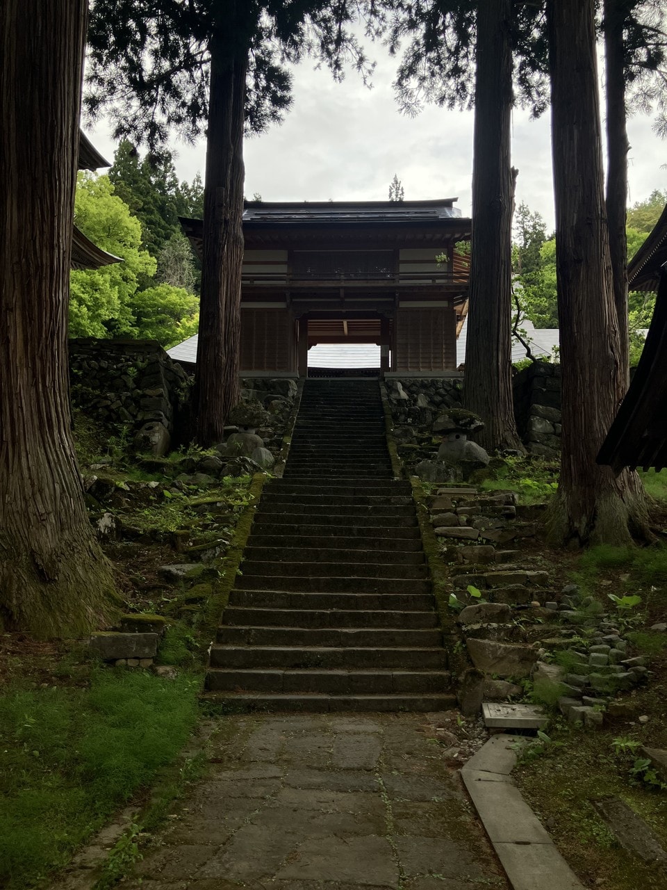 野沢菜の詳細画像 その4