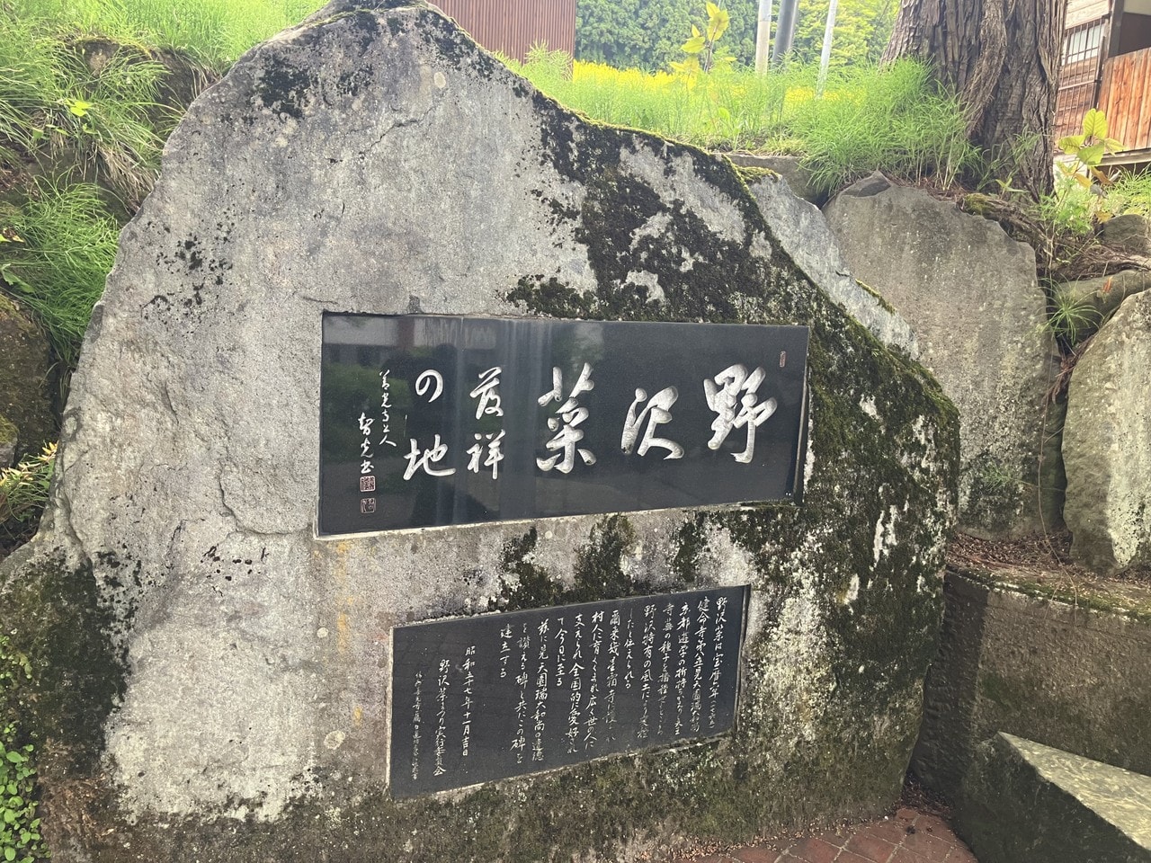 野沢菜の詳細画像 その5