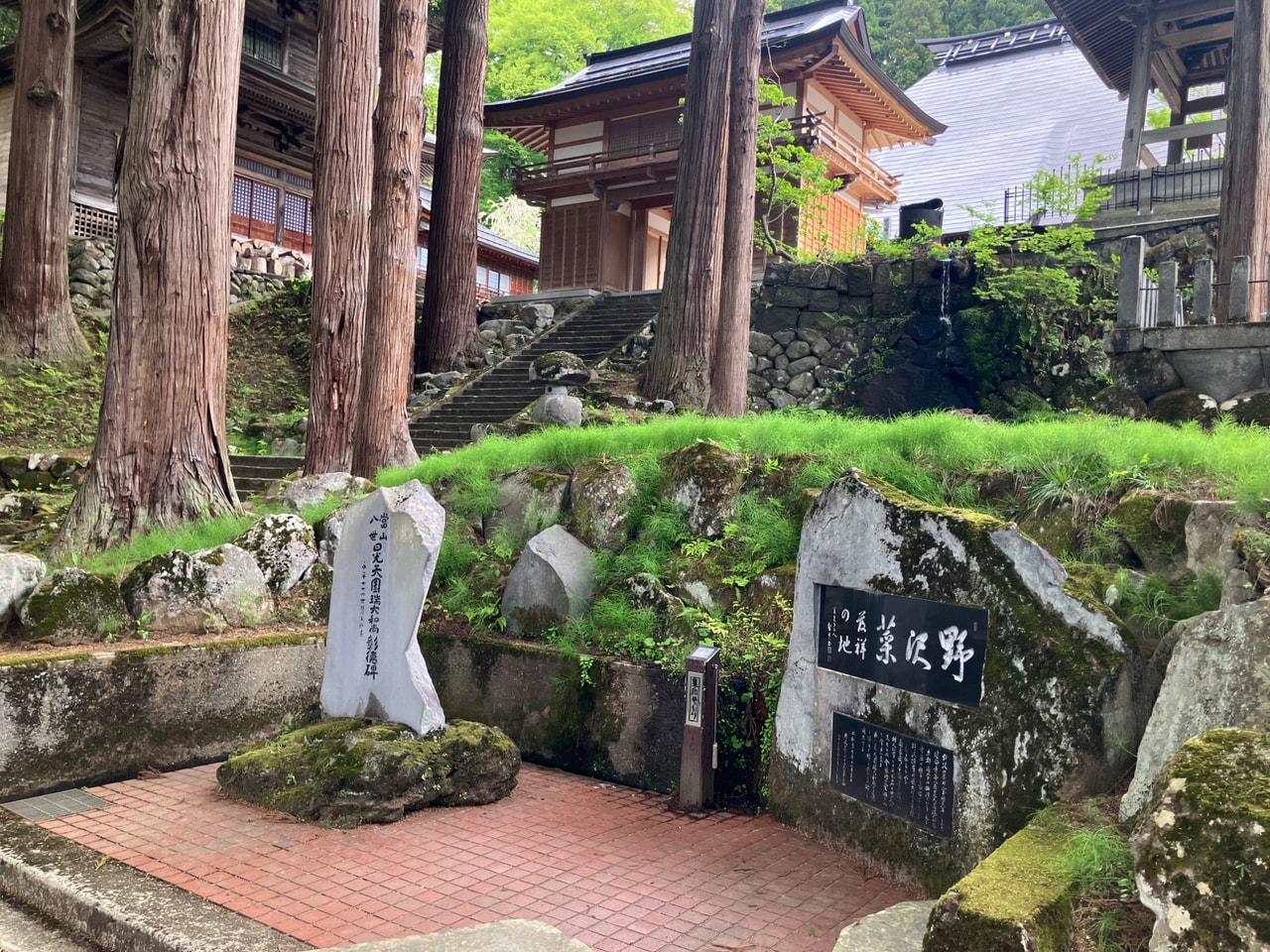 野沢菜の詳細画像 その6