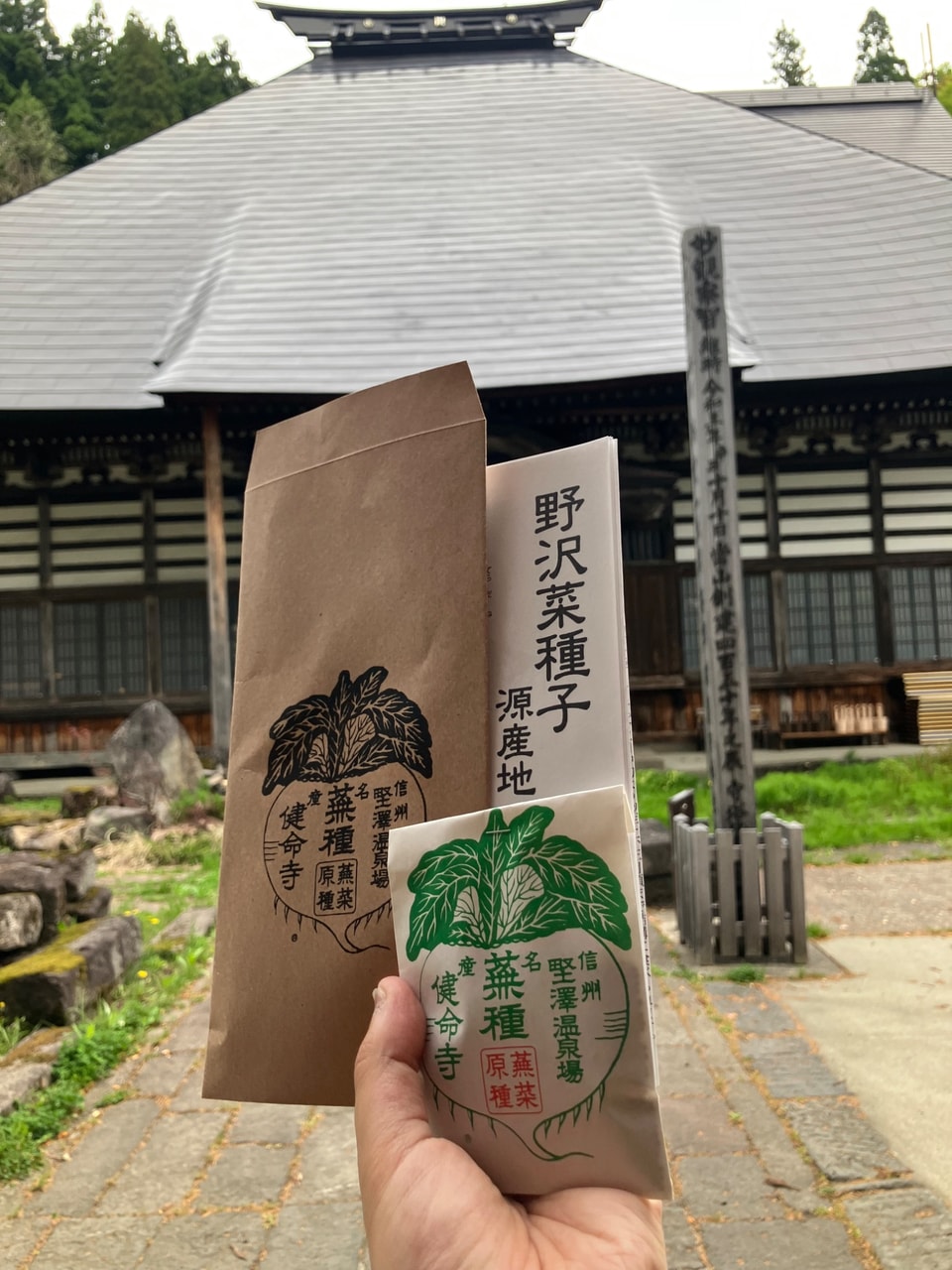 野沢菜の画像